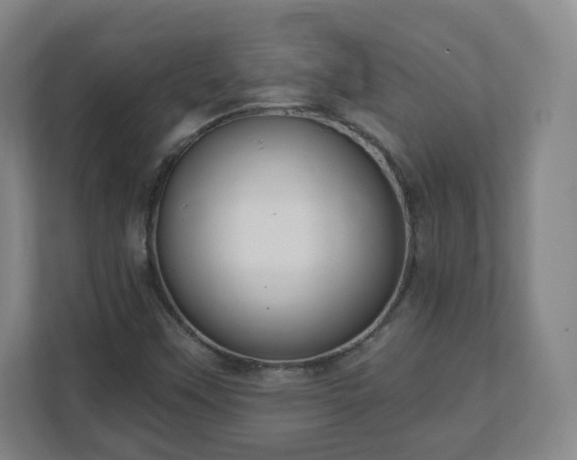 X0000110981451200906261419