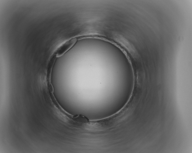 X0000110981452200906261419