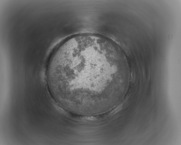 X0000110981454200906261419