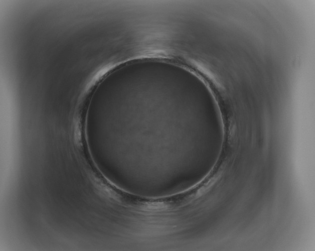 X0000110981455200906261419