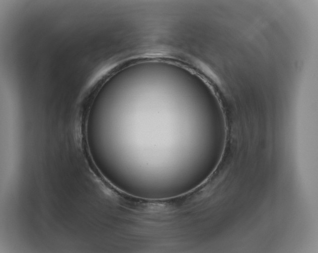 X0000110981456200906261419