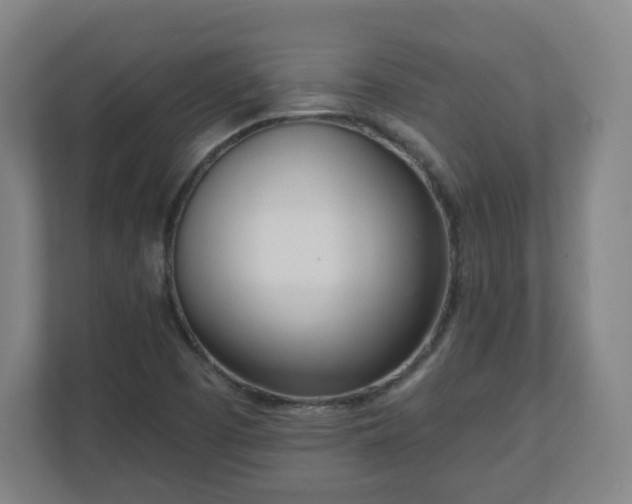 X0000110981457200906261419