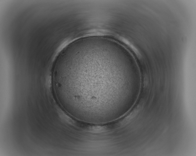 X0000110981459200906261419