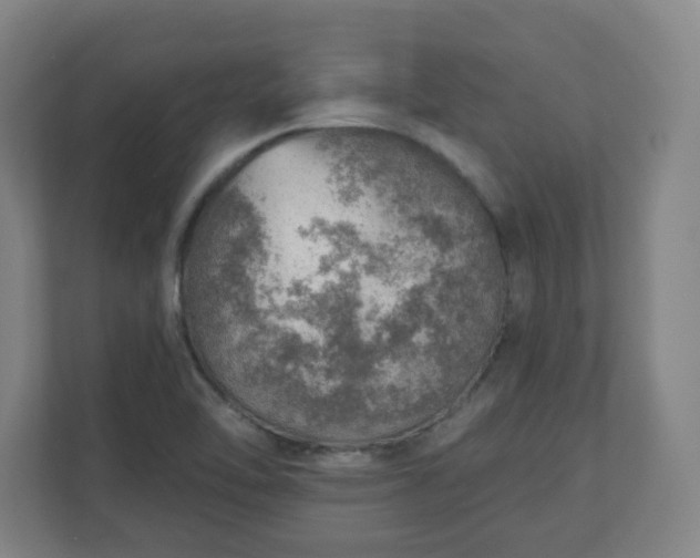 X0000110981462200906261419