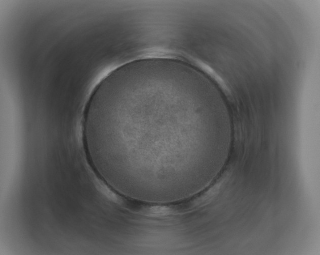 X0000110981463200906261419