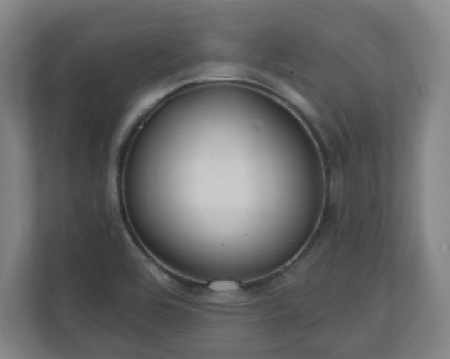 X0000110981464200906261419