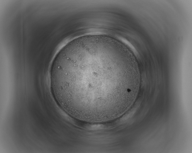 X0000110981467200906261419