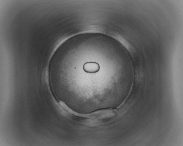 X0000110981468200906261419