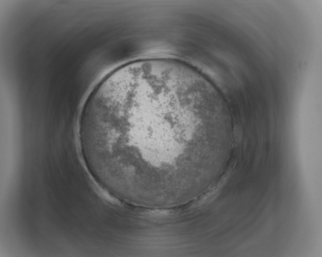 X0000110981470200906261419