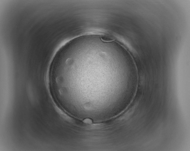 X0000110981471200906261419