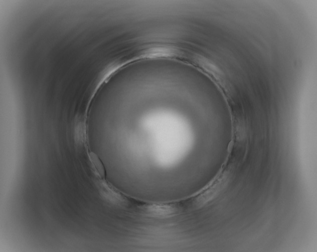 X0000110981473200906261419