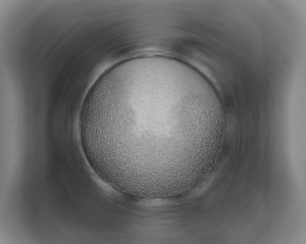 X0000110981474200906261419