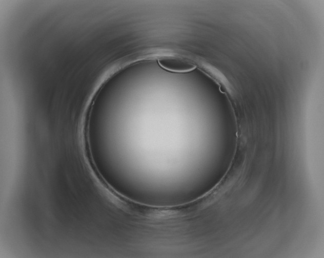 X0000110981475200906261419