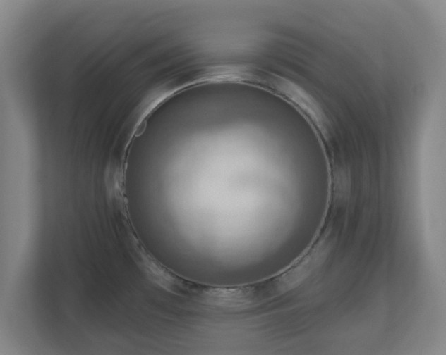 X0000110981481200906261419