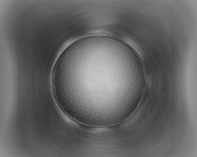 X0000110981482200906261419