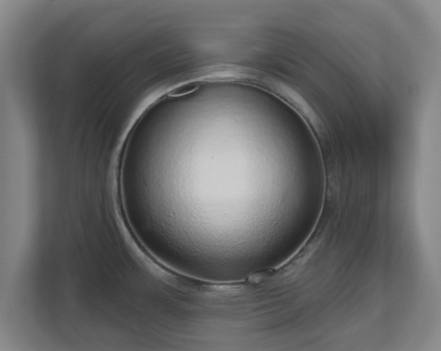 X0000110981483200906261419