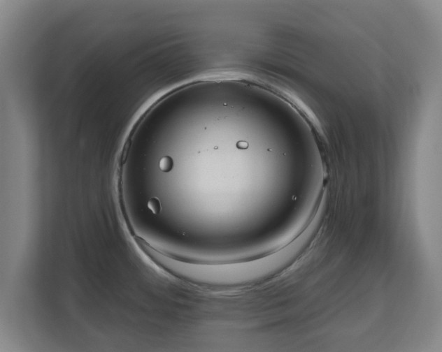 X0000110981484200906261419