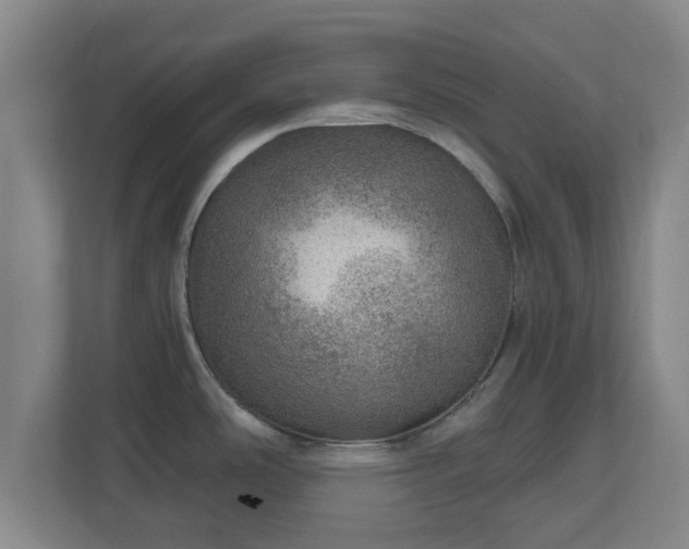 X0000110981486200906261419