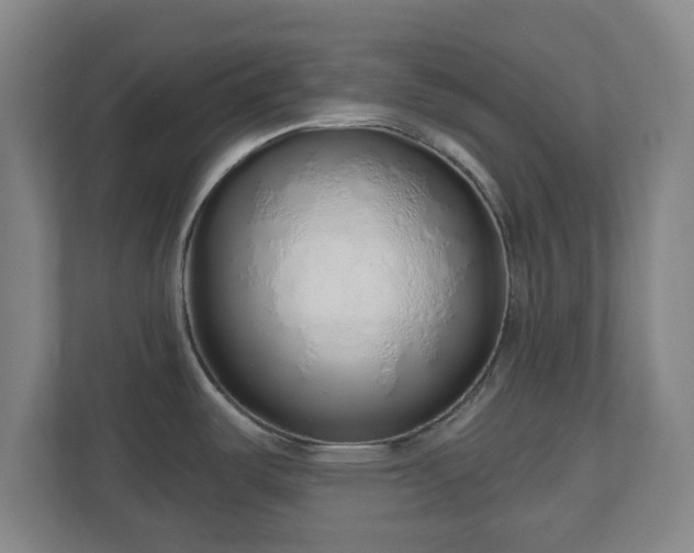 X0000110981487200906261419