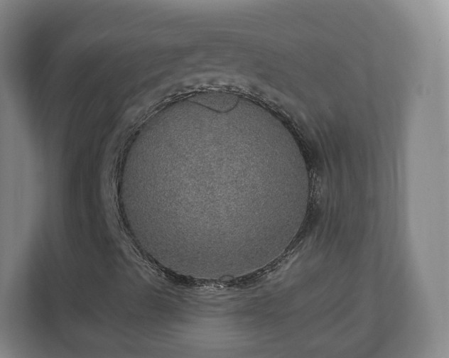 X0000110981489200906261418