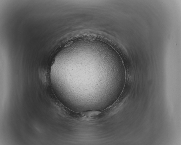 X0000110981490200906261418