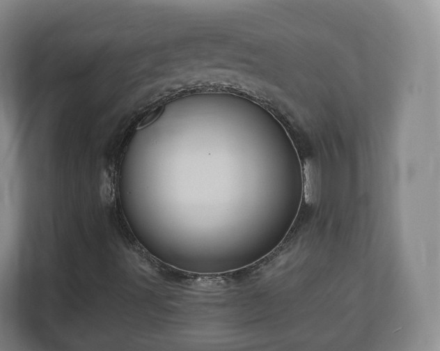 X0000110981491200906261418