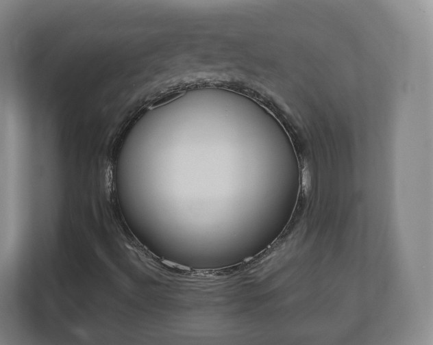 X0000110981492200906261418