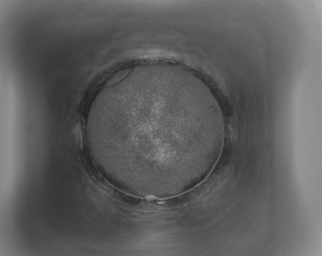 X0000110981493200906261418