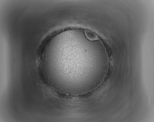 X0000110981495200906261418