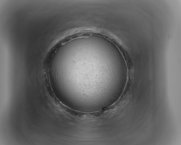 X0000110981496200906261418