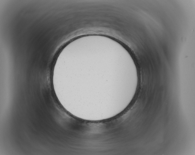 X0000110981498200906261418