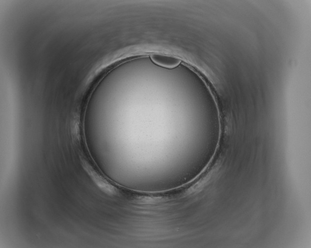 X0000110981499200906261418