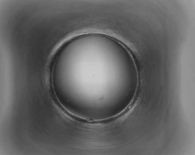 X0000110981502200906261419