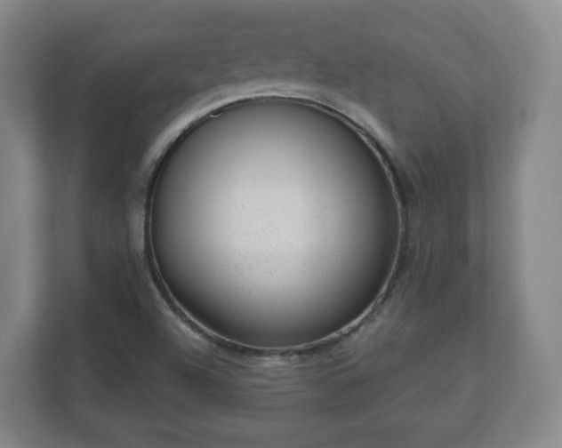 X0000110981504200906261419