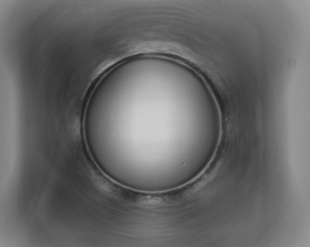 X0000110981505200906261419