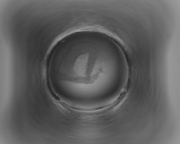 X0000110981506200906261419