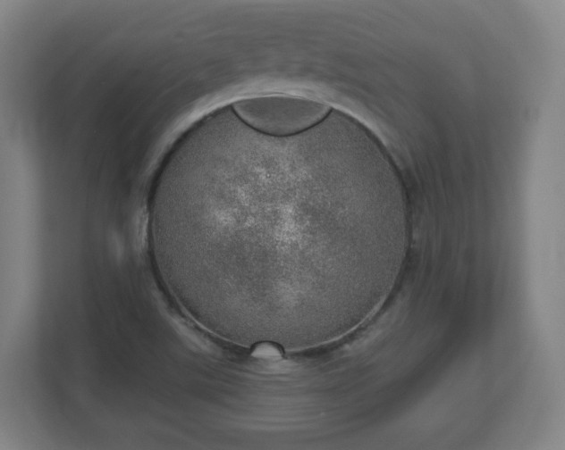 X0000110981507200906261419