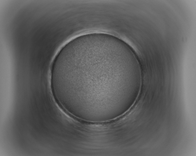 X0000110981508200906261419