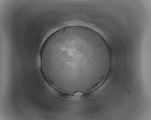 X0000110981509200906261419