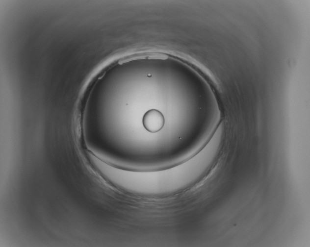 X0000110981510200906261419