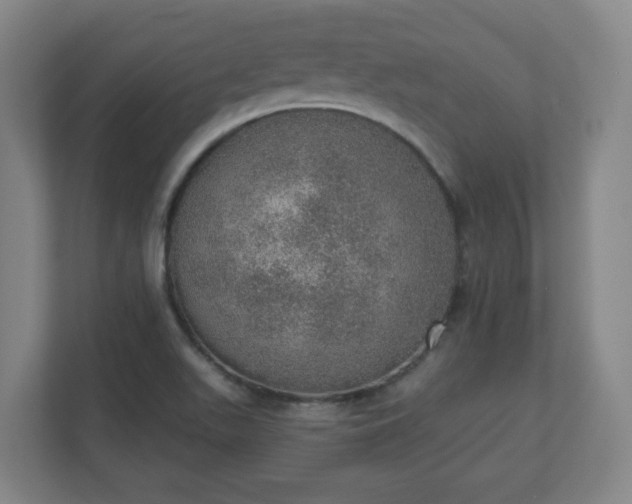 X0000110981511200906261419