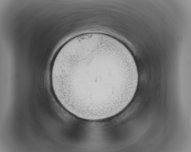 X0000110981514200906261419