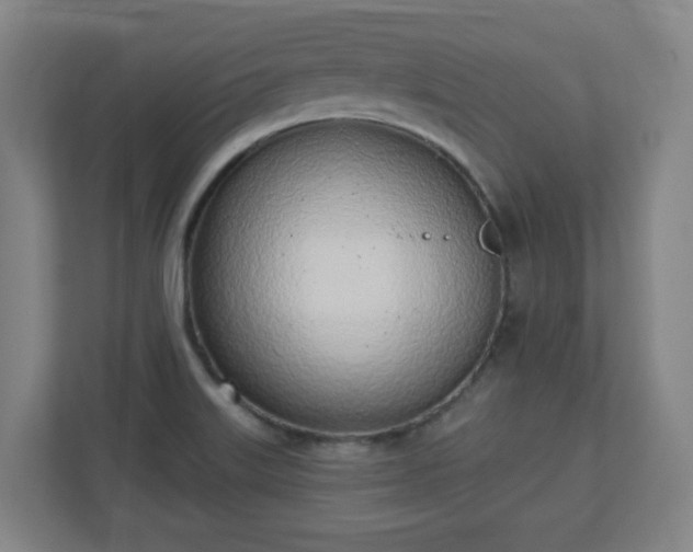 X0000110981515200906261419