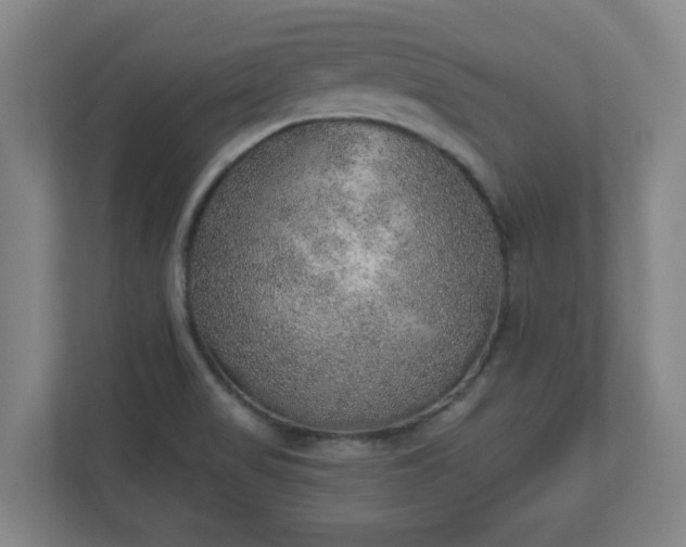 X0000110981517200906261419