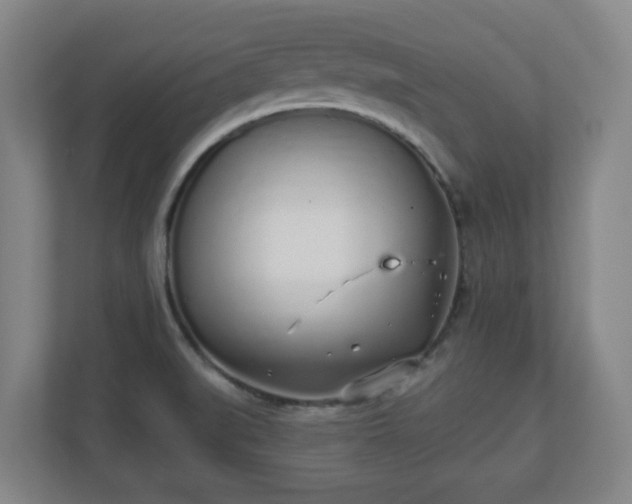 X0000110981519200906261419