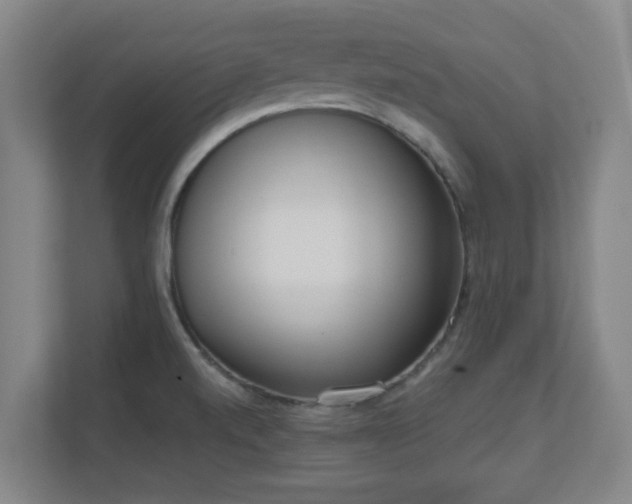 X0000110981520200906261419