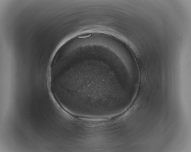 X0000110981522200906261419