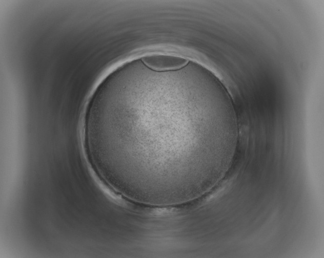 X0000110981523200906261419