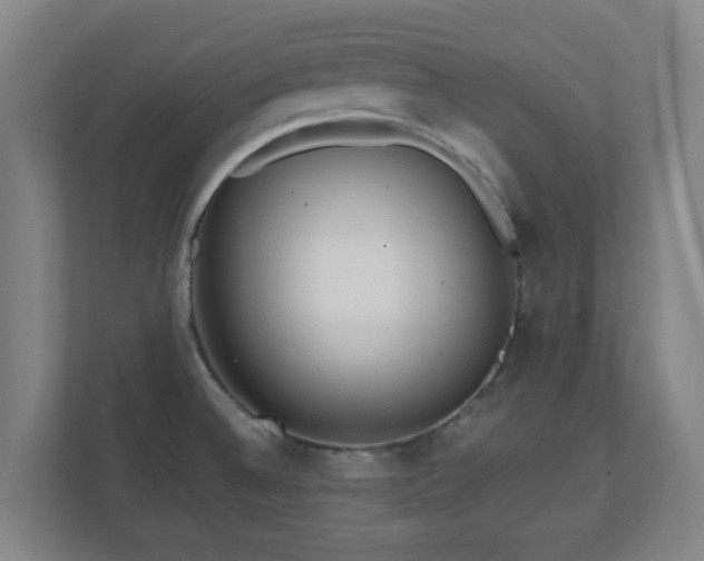 X0000110981524200906261419