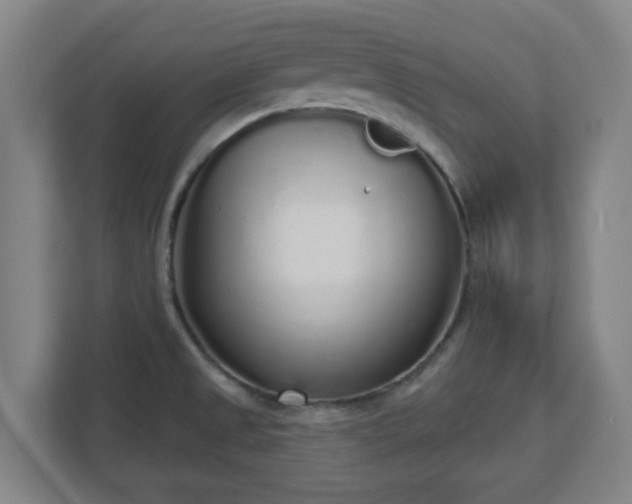 X0000110981525200906261419